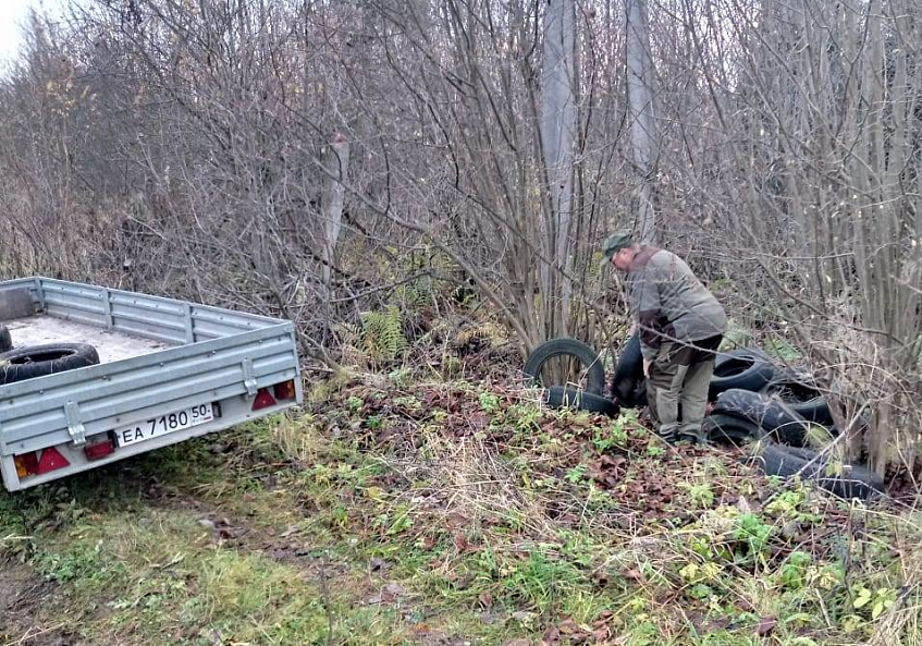  Три кубометра автопокрышек нашли в истринском лесу
